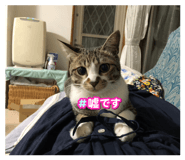843979757