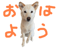 843979873