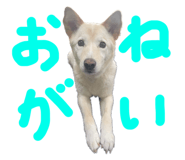843979874