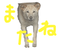 843979875