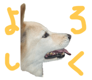 843979876