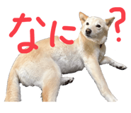 843979877