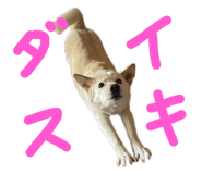 843979879