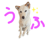 843979880