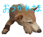 843979881