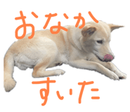843979883