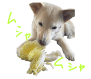 843979884