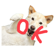 843979885