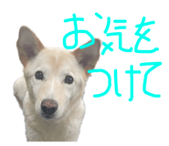 843979892