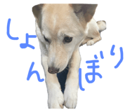 843979894