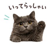 843980150