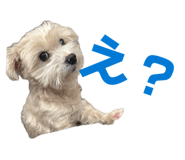 843980187