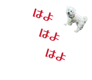 843980188