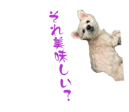 843980190