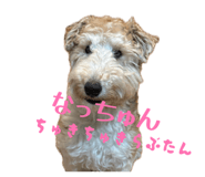 843980278