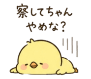 843980502