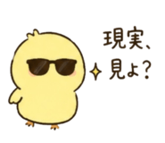 843980512