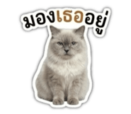 843980804