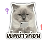 843980806