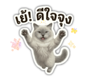 843980808