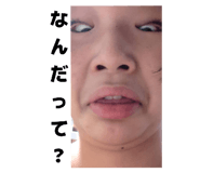 843981162