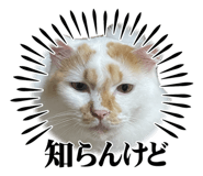 843981190