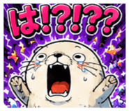 843981372