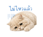 843981585