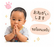 843981684
