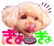 843986840