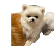 843986886