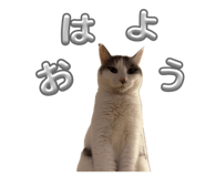 843987161