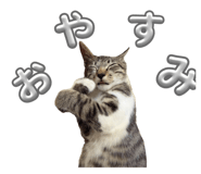 843987162