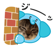 843987171