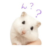 843987185