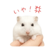 843987187