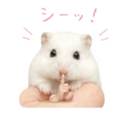 843987190