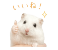 843987192