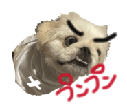 843987440