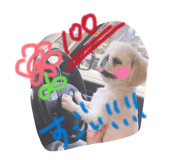 843987445