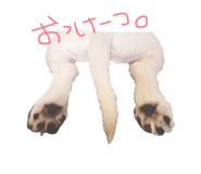 843987448