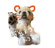 843987451