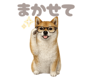 843987675