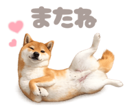 843987676