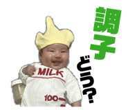 843987737