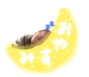 843987895