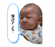 843987955