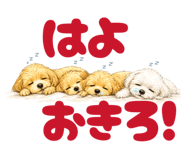 843988034