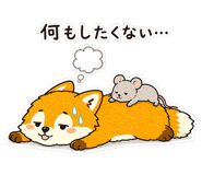 843988853