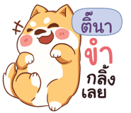 843996305